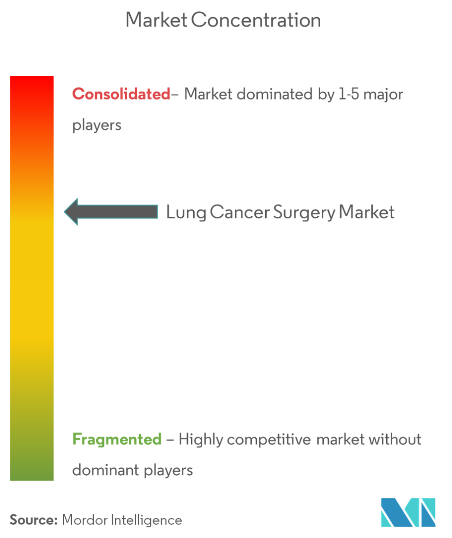 肺がんの手術市場集中度